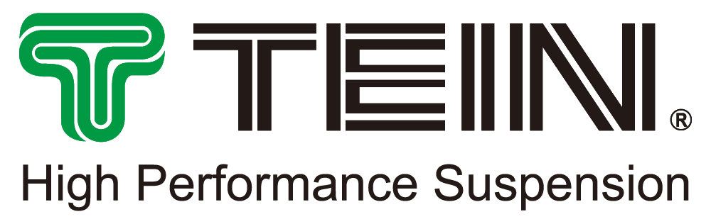 TEIN Logo